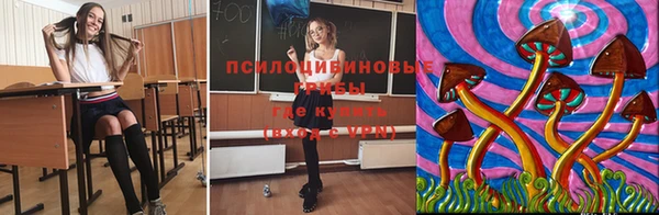 крисы Арсеньев