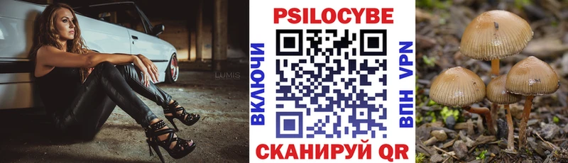 Галлюциногенные грибы Cubensis Купить закладки Балахна